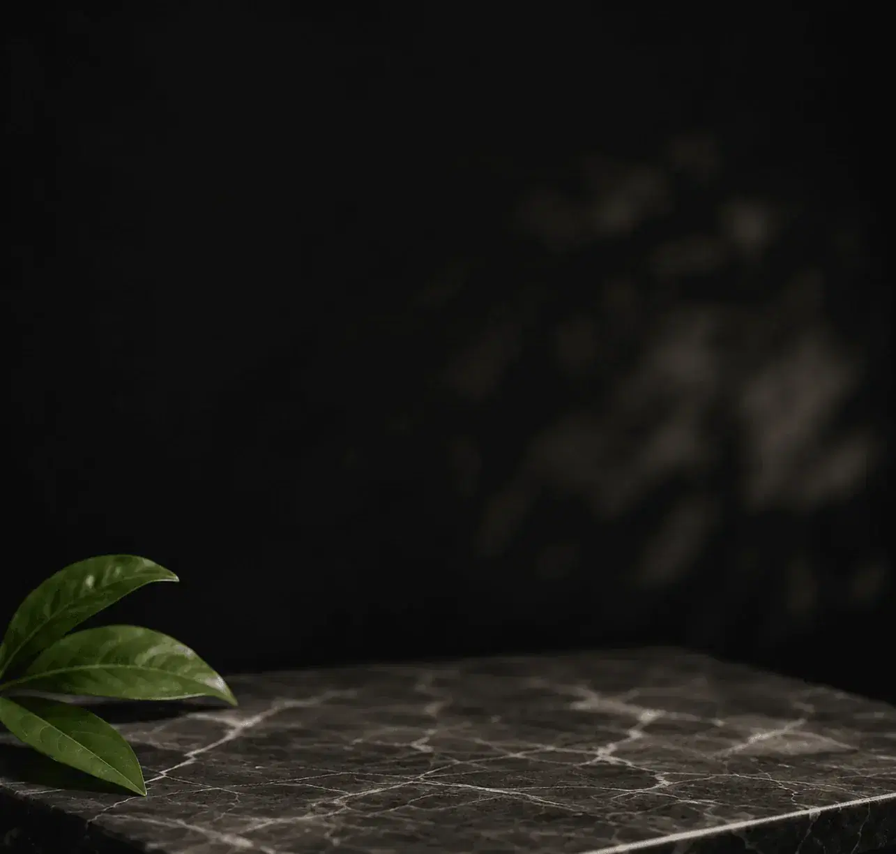 Pixtron Signature Series ordering background, branded wet wipes for restaurants in Los Angeles